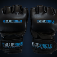 Blue Shield MMA Style Gloves